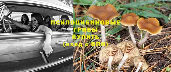 МДПВ Алексин