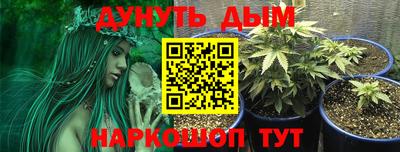 ECSTASY Аргун