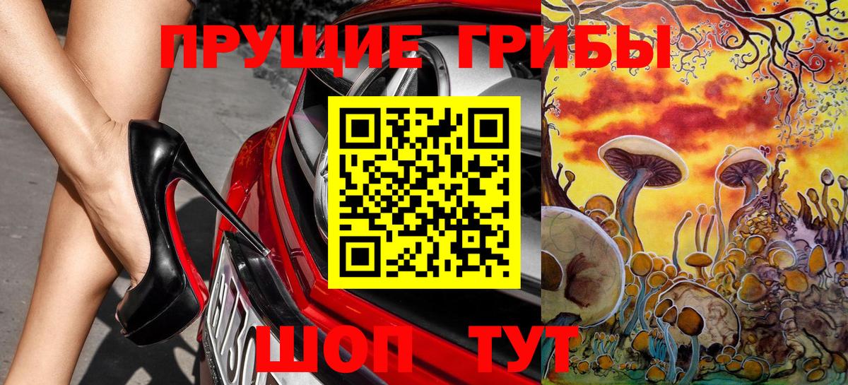 Галлюциногенные грибы GOLDEN TEACHER  Галлюциногенные грибы прущие грибы  Вход с VPN  Бийск 